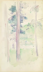 Kiefern am See, 1893